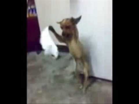 See video