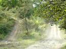 Enduro crash a Cortenova...