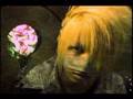 Reita-FV-Butterfly-H