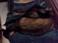 Snoring