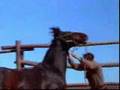 Rawhide!