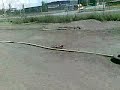 SmK Helsingborg Miniracing