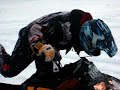I love snowmobiles