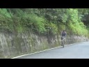 200806 南橫毛地黃 19 人 18 台車
