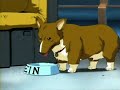 Cowboy Bebop - Sunrise Avenue -Fairytale gone bad Amv Manele-Gratis.net