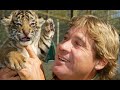 Steve Irwin Tribute Steve Irwin Tribute