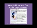 SEO Basics