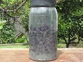 Flies Catching Trap