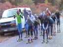 XC Men LP Hammer XC Men LP Hammer