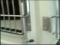 Manchester (NH) Animal Shelter