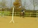 morf et quadrille en concours morf et quadrille en concours