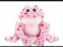 So Many Webkinz Video - New Webkinz