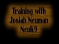 Protection K-9 Demonstration & Training