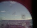Whale watching with Go Sea Kayak @ Byron Bay June 12