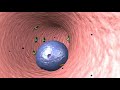 Cancer or Krebs