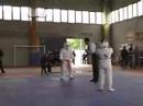 kyokushinkai dionigi 2� incontro