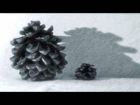 stone cone