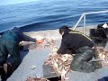 Snow Crab fishing Snow Crab fishing