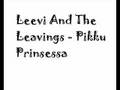 Leevi and the Leavings - Pikku Prinsessa