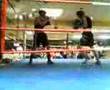 cummo vs rogue best (2nd fight)