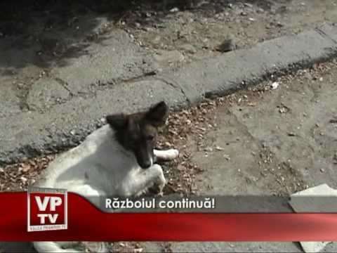 Războiul continuă!