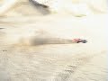 Brushless Slash x 2 + E-Firestorm 10T