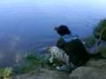 videos de estrenando mi caña de carpfishing/carpa de 2600g