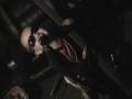 videos de pharaoh 2 many puppies drums2-1.wmv