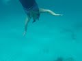 snorkeling in Anguilla