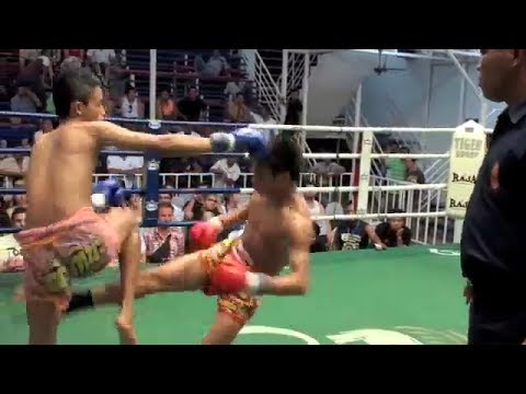 thai boxing