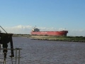 Bulk Carrier