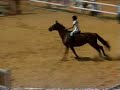 Cavalo Samaritana