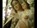 flor del carmelo  canción a la virgen del carmen 