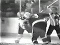 Buffalo