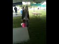 Click here to watch this video Gwyn and Saby at Highland Games