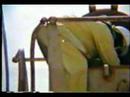 Cancer Causing Chemicals 1978