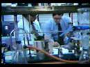 Cancer Causing Chemicals 1978