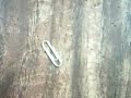 how to pick a lock with a paperclip