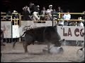 JARIPEO DE DICIEMBRE DEL 2006 EN MICHOACAN