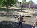 Escuadron Klonday -aee ballenaccion men-