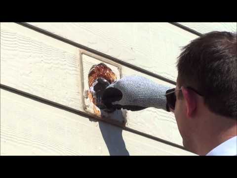 how to prevent birds from nesting in dryer vent