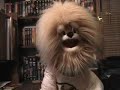 buttons-recites-the-scout-oath.html