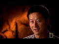 Fossil Record Mystery