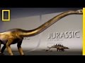 Fossil Record Mystery