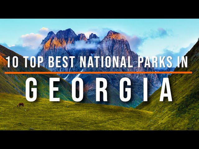 Best Parks to Visit