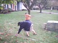 death match: round 2