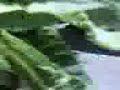 silangan national high school- praktiz part 3 silangan national high school- praktiz part 3