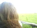 cool breeze