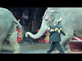 Elephants,elefantes,Ringling Brothers circus