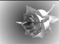 bir-yudum-su-gecesiormans-rt-ky-.html
